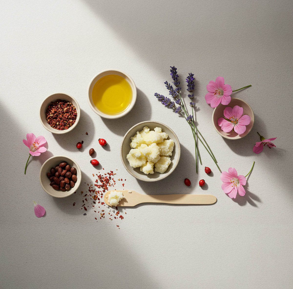 Flat lay of natural ingredients used in 360 Botanics Rose Beauty Balm, including shea butter, rosehip oil, lavender sprigs, and rose petals. Perfect for eco-conscious skincare