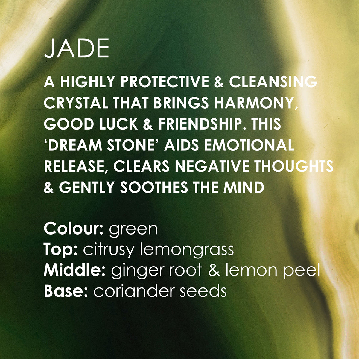 Product description for 360 Botanics Lemongrass & Coriander Soy Wax Candle, featuring notes of lemongrass, ginger root, lemon peel, and coriander seeds, with protective and cleansing benefits for a calming ambiance.